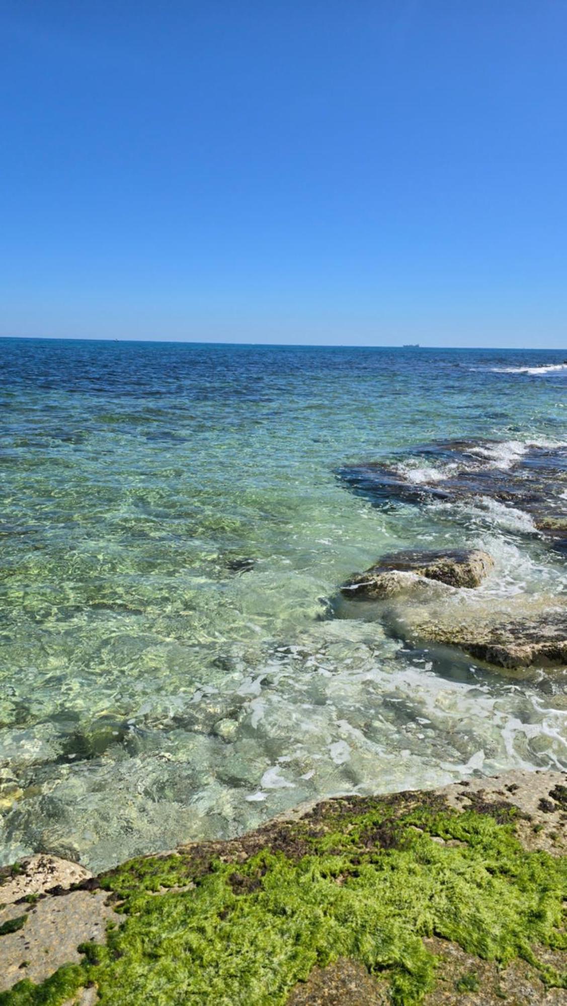 Kale Bed & Breakfast Giovinazzo Exterior photo