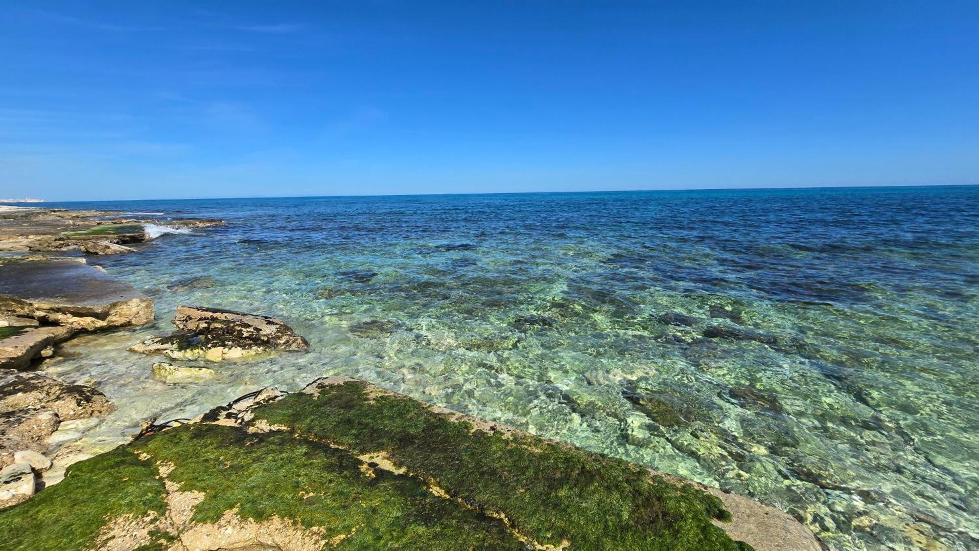 Kale Bed & Breakfast Giovinazzo Exterior photo